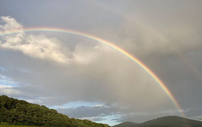 Regenbogen über dem Petersberg