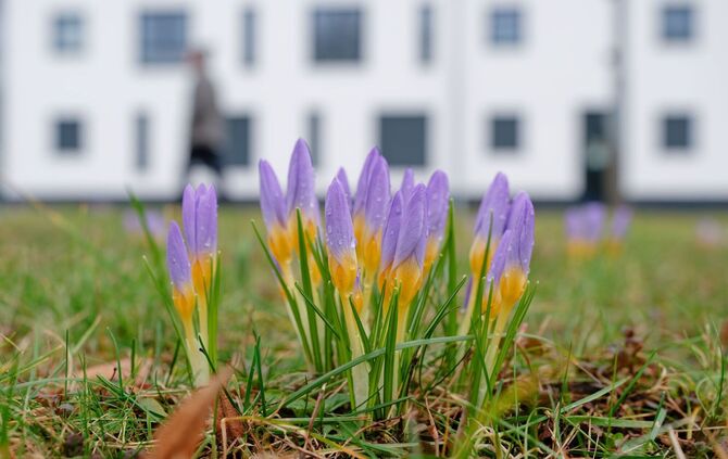 Wetter in Baden-Württemberg