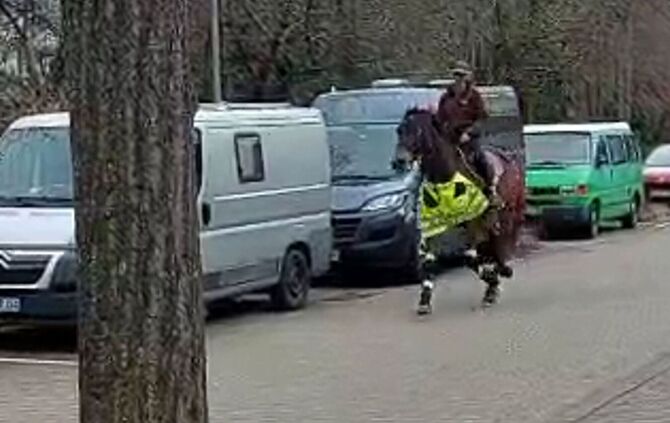 Reitlehrerin auf Pferd sorgt für ungewöhnliches Blitzerfoto