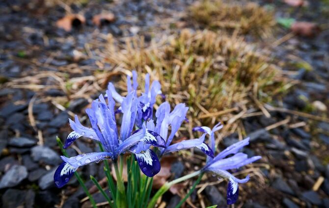 Wetter aus Rheinland-Pfalz