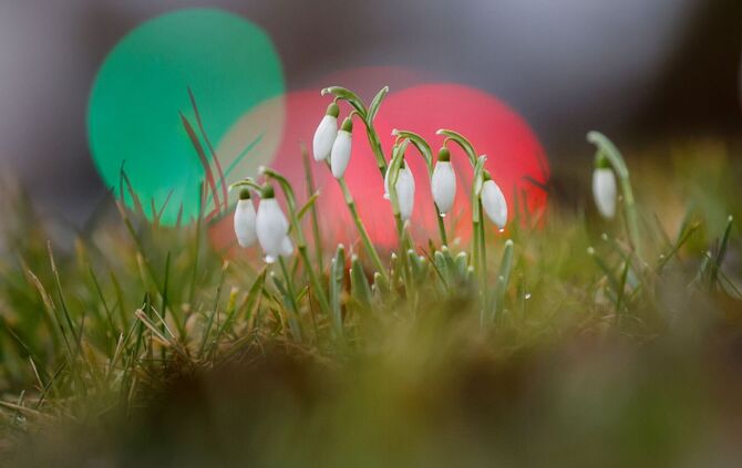 Es wird Frühling im Südwesten.