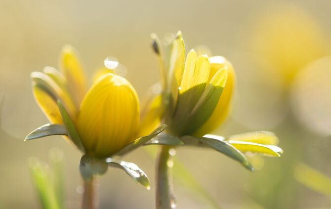 Manche Menschen reagieren stärker als andere auf Wetteränderungen. (Symbolbild)