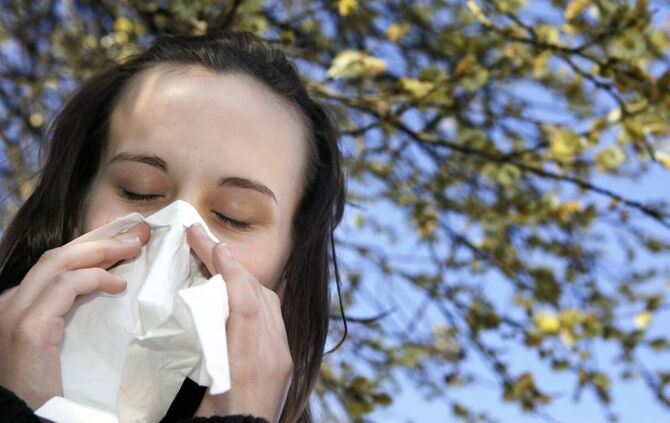 Eine juckende, triefende oder verstopfte Nase und Niesattacken können Anzeichen einer Pollenallergie sein. (Symbolfoto)