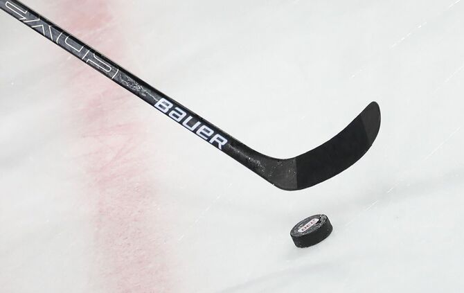 Die Adler Mannheim verpflichten einen neuen Spieler. (Symbolbild)