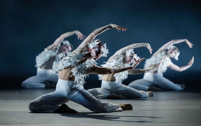 Das Ballett Theater Pforzheim präsentiert Schwanensee im Bürgerzentrum Waiblingen.