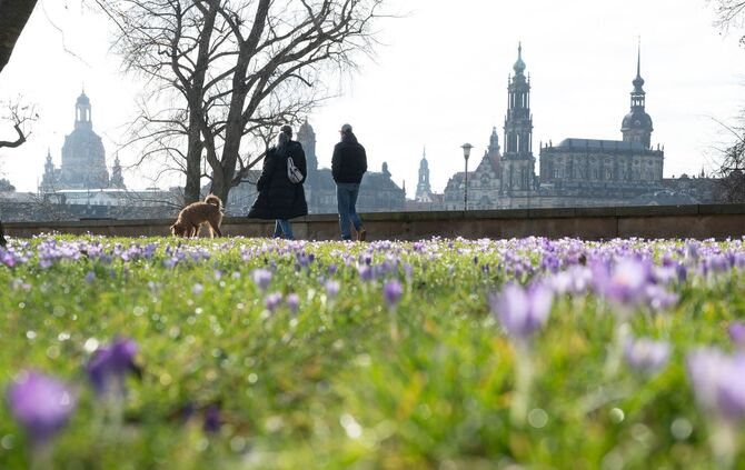 Frühling in Sachsen