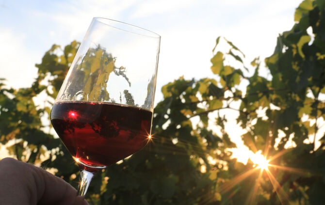 Das Auge trinkt mit, das gilt für die Farbe des Weins im Glas und auch für das Design der Flaschen, das die Remstalkellerei nun