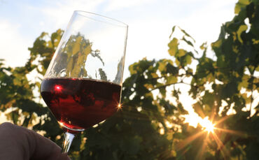 Das Auge trinkt mit, das gilt für die Farbe des Weins im Glas und auch für das Design der Flaschen, das die Remstalkellerei nun 