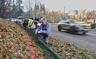 Autofahrer aufgepasst! Das Amphibienschutz-Team freut sich - zur eigenen Sicherheit wie auch im Namen der Kröten - über langsame
