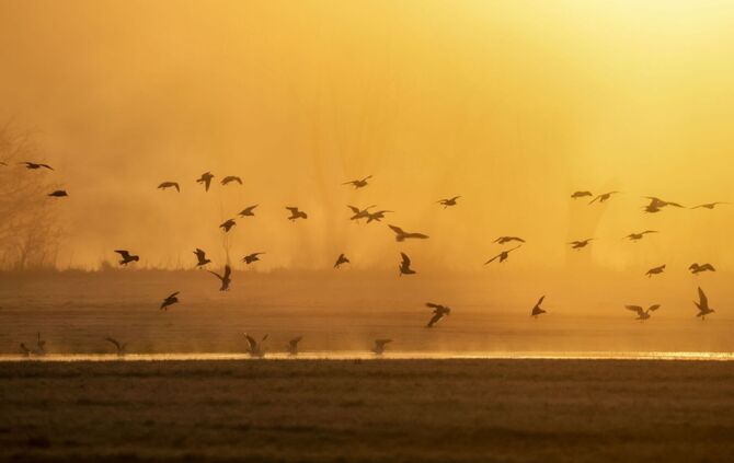 Frühling in Baden-Württemberg