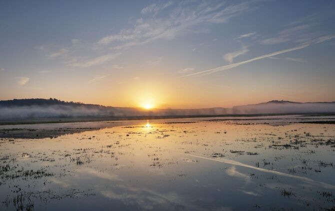 Frühling in Baden-Württemberg