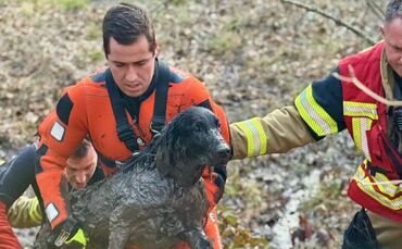 Mit ihrem beherzten Einsatz haben die Feuerwehrleute der Hündin vermutlich das Leben gerettet.
