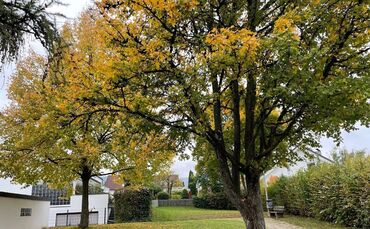 Angesichts des Zuschnitts nicht einfach zu bebauen, die Stadt will das Grundstück in Weiler aber trotzdem nicht, wie von den Nac