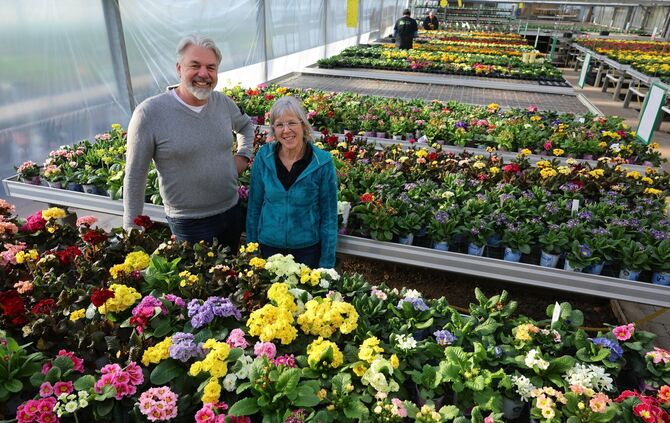 Chef Dieter Knauß und Mitarbeiterin Margit Seidel vom Gartencenter Knauß erklären, welche Pflanzen jetzt im März schon im Garten