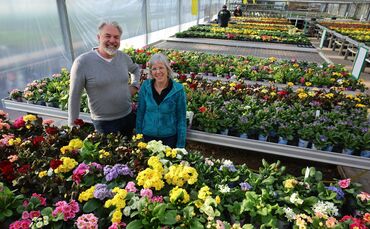 Chef Dieter Knauß und Mitarbeiterin Margit Seidel vom Gartencenter Knauß erklären, welche Pflanzen jetzt im März schon im Garten