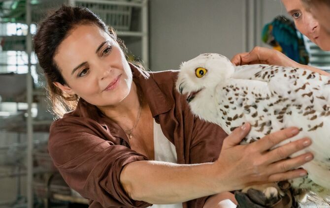 TV Ausblick - ARD - "Tierärztin Dr. Mertens"