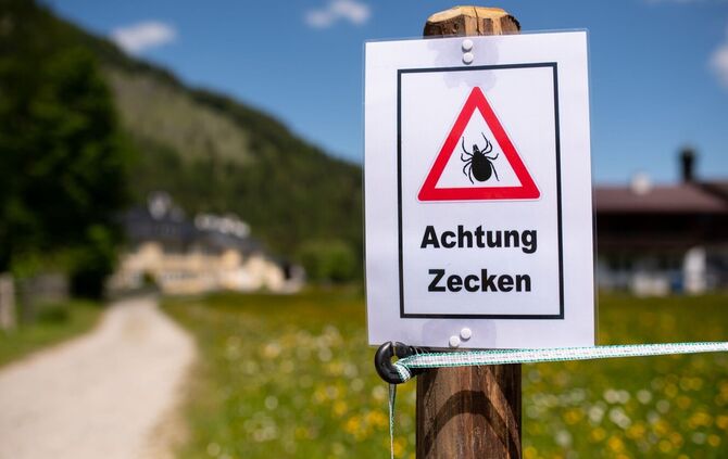 Der erste FSME-Fall ist im Ostalbkreis registriert worden.(Archiv)