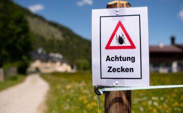 Der erste FSME-Fall ist im Ostalbkreis registriert worden.(Archiv)