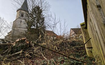 Im Urbacher Pfarrgarten wurden Bäume gefällt und Büsche gerodet.