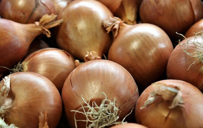 Woher kommt der Zwiebelduft?