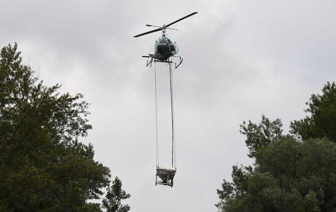 Stechmückenbekämpfung