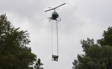 Stechmückenbekämpfung