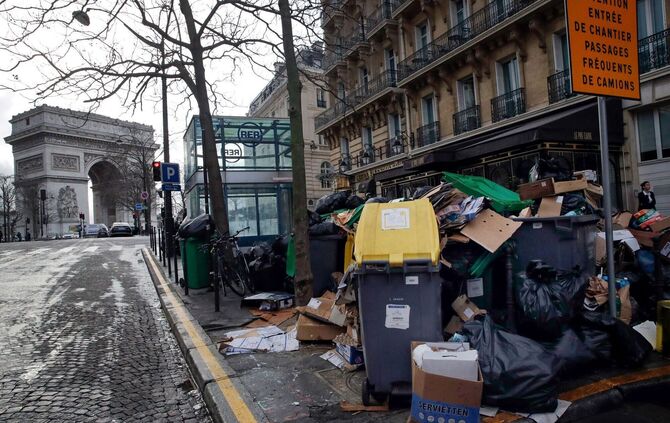 Wahlkampf in Paris - Millionen Ratten sorgen für Streit