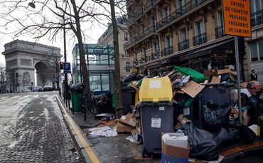 Wahlkampf in Paris - Millionen Ratten sorgen für Streit