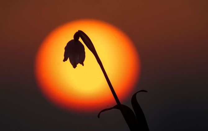 Sonnenaufgang in Baden-Württemberg