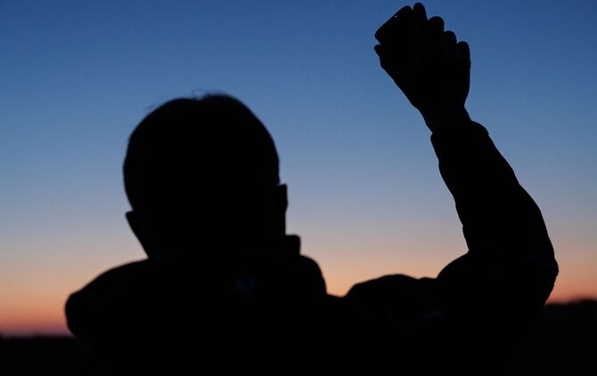 Rettungsmission Rebhuhn