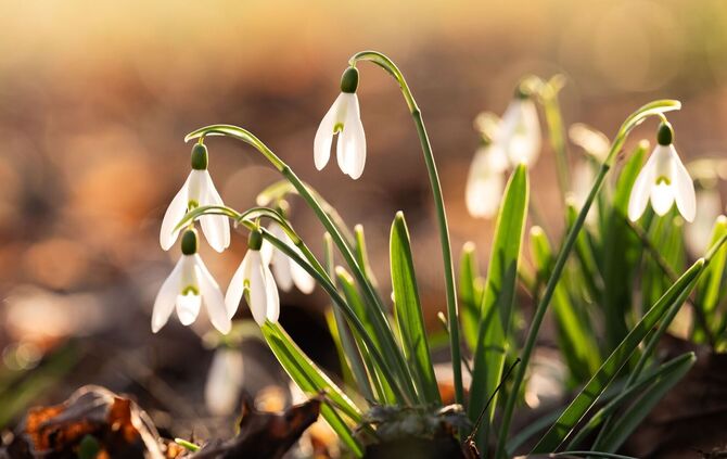 Frühlingswetter in Baden-Württemberg