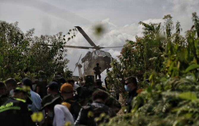 Koka-Anbau in Kolumbien