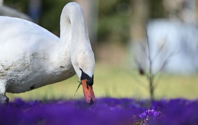 Wetter in Baden-Württemberg