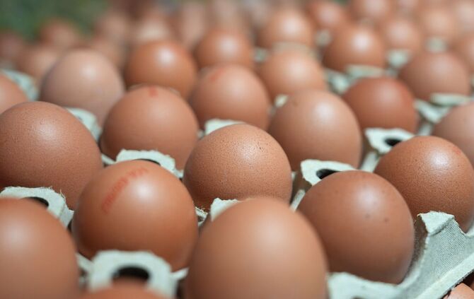 Die Verbraucher essen mehr Eier als noch vor ein paar Jahren.