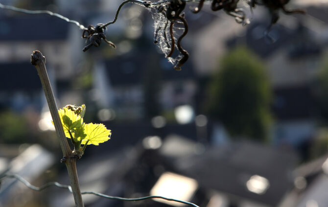 Im Rems-Murr-Kreis wird es Ende der Woche nochmal kalt (Symbolfoto).