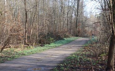 Die Ermittler haben erste Details nach dem Fund einer toten Frau in einem Wald bei Mannheim bekanntgegeben.