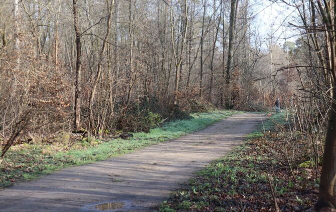 Die Ermittler haben erste Details nach dem Fund einer toten Frau in einem Wald bei Mannheim bekanntgegeben.