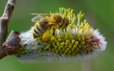 Frühling in Brandenburg