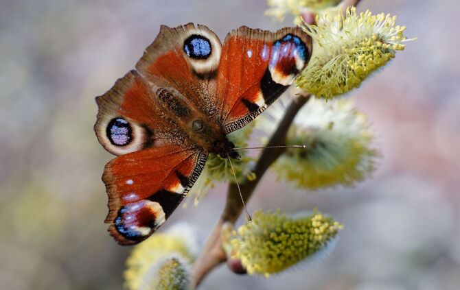 Wetter in Baden-Württemberg