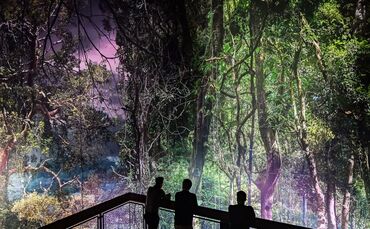 360-Grad-Panorama Amazonien