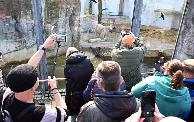 Im Karlsruher Zoo wurde in der Nacht Müll in etliche Gehege geworfen. (Archivbild)
