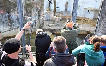 Im Karlsruher Zoo wurde in der Nacht Müll in etliche Gehege geworfen. (Archivbild)