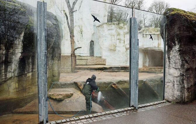 Verwüstungen im Karlsruher Zoo