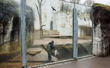 Verwüstungen im Karlsruher Zoo