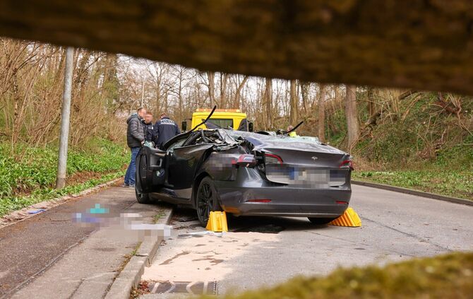 Der Baum krachte unvermittelt auf das vorbeifahrende Auto. Der Autofahrer hatte keine Chance zu überleben.