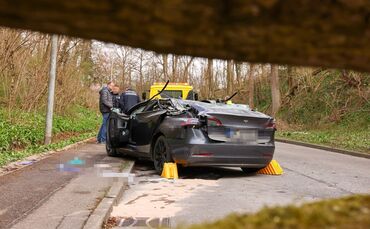 Der Baum krachte unvermittelt auf das vorbeifahrende Auto. Der Autofahrer hatte keine Chance zu überleben.