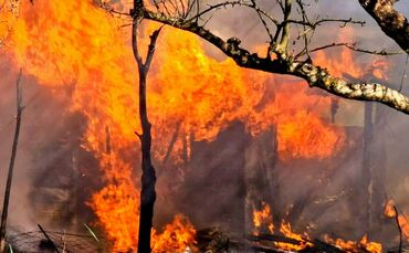 Am Mittwoch kam es auf einem Gartengrundstück in Beinstein zu einem Brand.