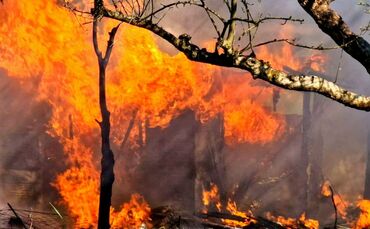 Am Mittwoch kam es auf einem Gartengrundstück in Beinstein zu einem Brand.