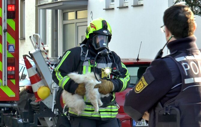 Feuerwehr rettet Katze aus verrauchter Wohnung
