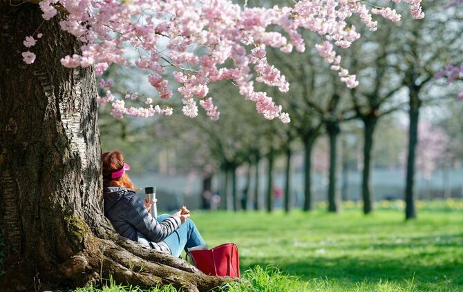 Wetter in Baden-Württemberg